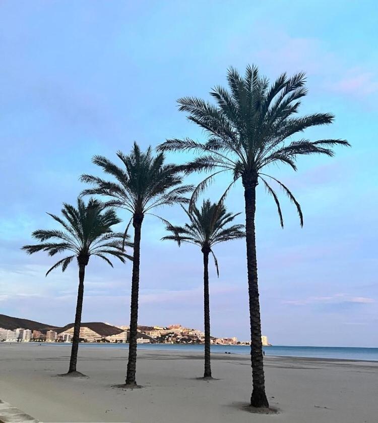 A 50 M De La Plage 库列拉 外观 照片